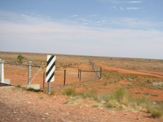 The Dog Fence!