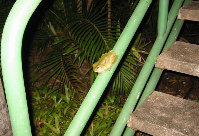 our friend