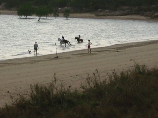 Fannie Bay