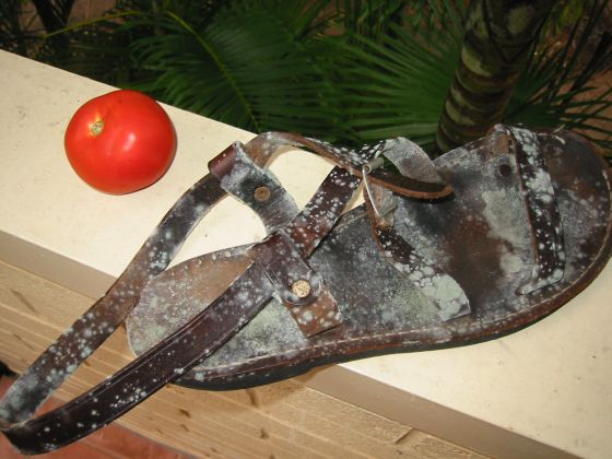 ripe tomato, rotten shoe