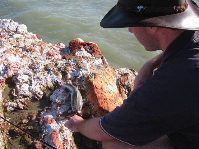 Nightcliff beach