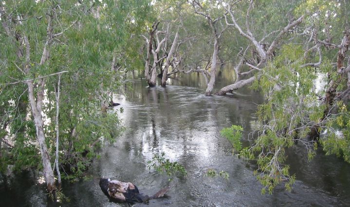 Nourlangie Creek