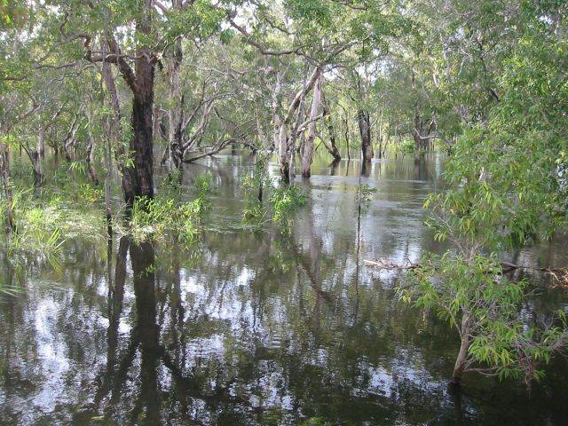 Nourlangie Creek
