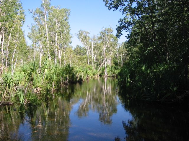 downstream Edith River