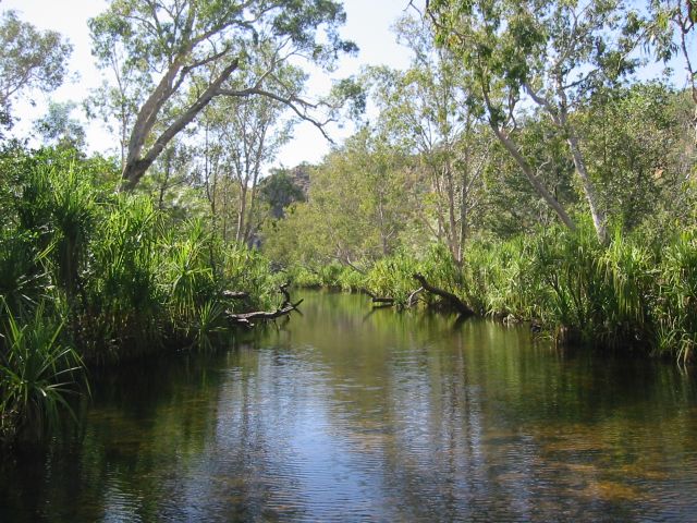 upstream Edith River